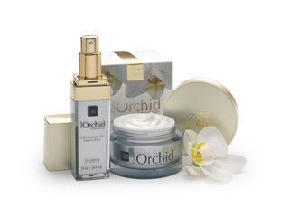Gold Orchid Cotton Line Tegoder Cosmetics